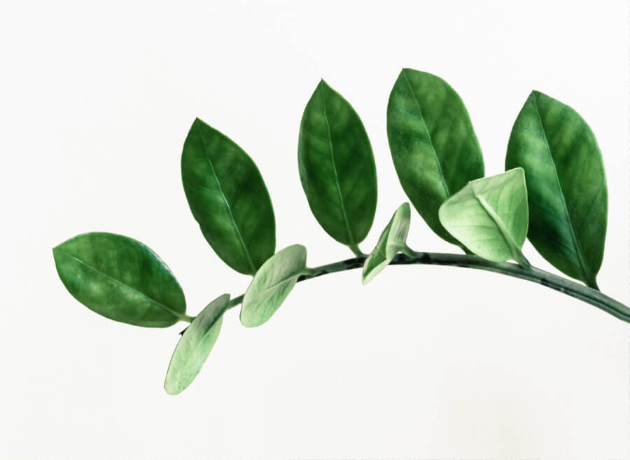 Dlaczego sodowanie jest ekologiczne?